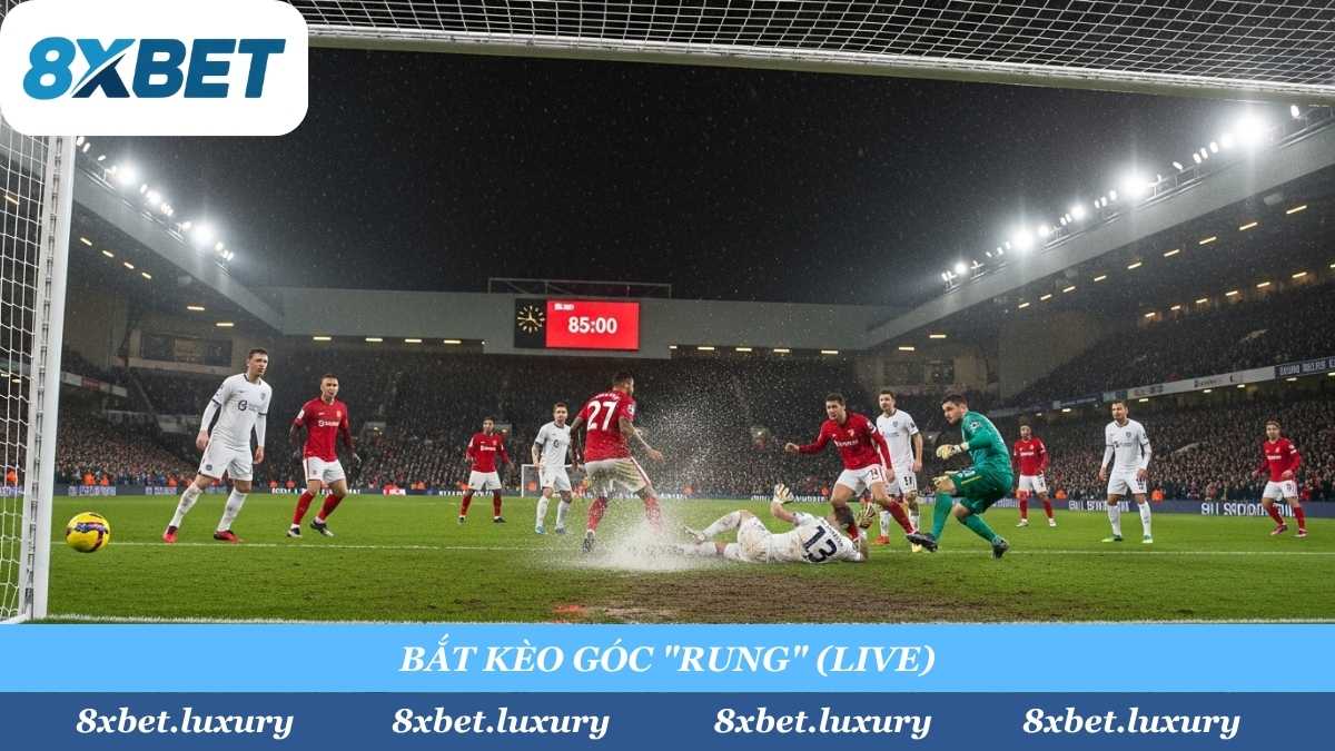 Kinh nghiệm "xương máu" khi đánh Kèo Rung góc: Bắt TÀI góc khi đội Cửa Trên đang bị dẫn trước và dồn ép "tổng lực" vào cuối trận.