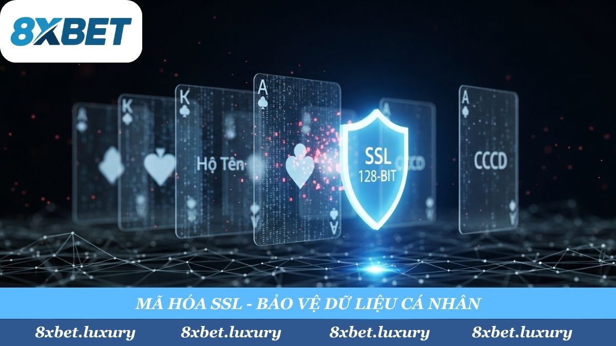 Lo lắng về KYC? Mọi thông tin nhạy cảm của anh em, từ CCCD đến số tài khoản, đều được 'xay nhuyễn' bằng mã hóa SSL 128-bit. Hacker có lấy được cũng không thể đọc!