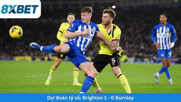 Soi kèo Brighton vs Burnley, 22h00 ngày 03/01/2026: Chủ nhà phá dớp, giữ lại 3 điểm tại AMEX?